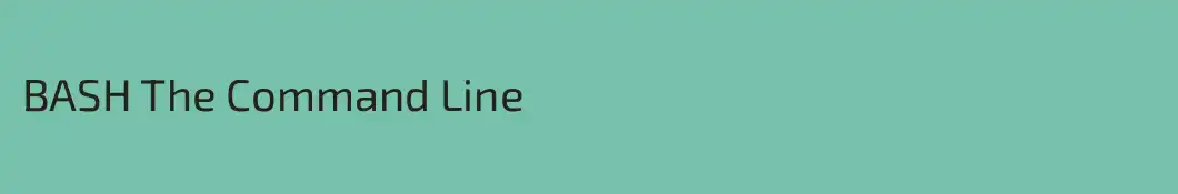 BASH The Command Line